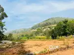 Plot 6 cent Vattappara residential