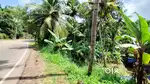 Plot for sale near Sreekariyam