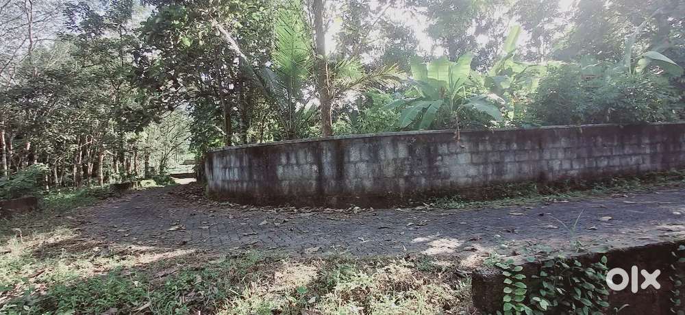 13 CENT HOUSE PLOT FOR SALE NEAR PATTIMATTOM