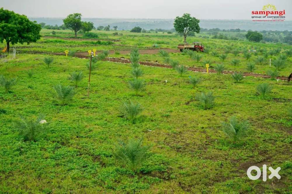 Sampangi group of companies