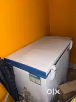 Blue Star deep freezer
