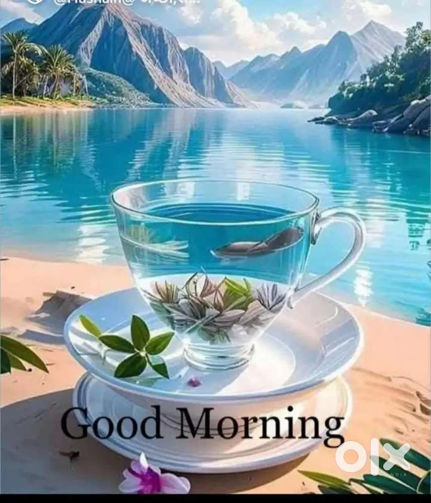 मुझे ड्रायव्हर का जॉब चाहिये ट्रान्सपोर्ट लायसन है मेरे पास