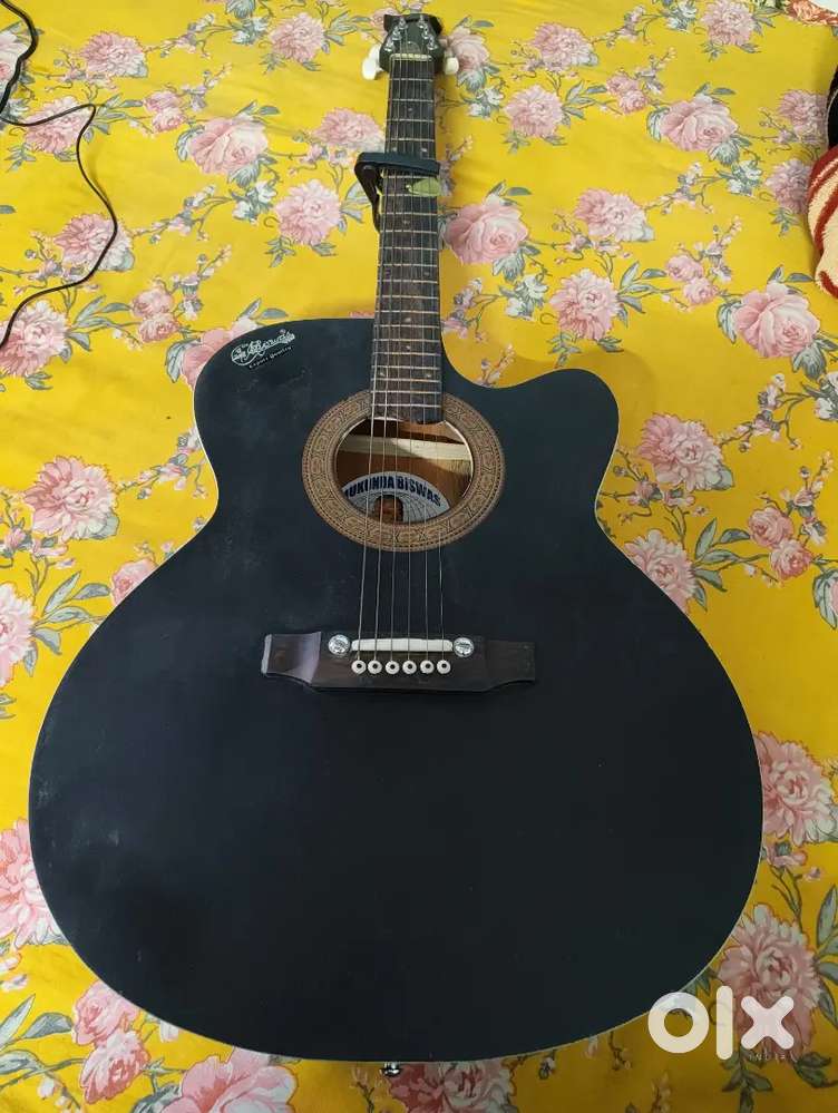 Original Hobner Guitar