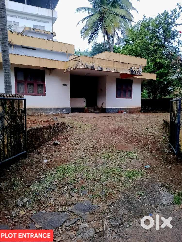 13-Cent Plot for Sale – Thavakkara OPPOSITE ZUDIO , Kannur