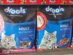 Drools cat food 3.kg Adult online oder available
