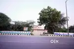 Prime Plots in Delhi’s  Azadpur