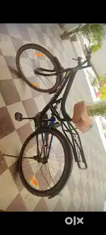 Best cycle