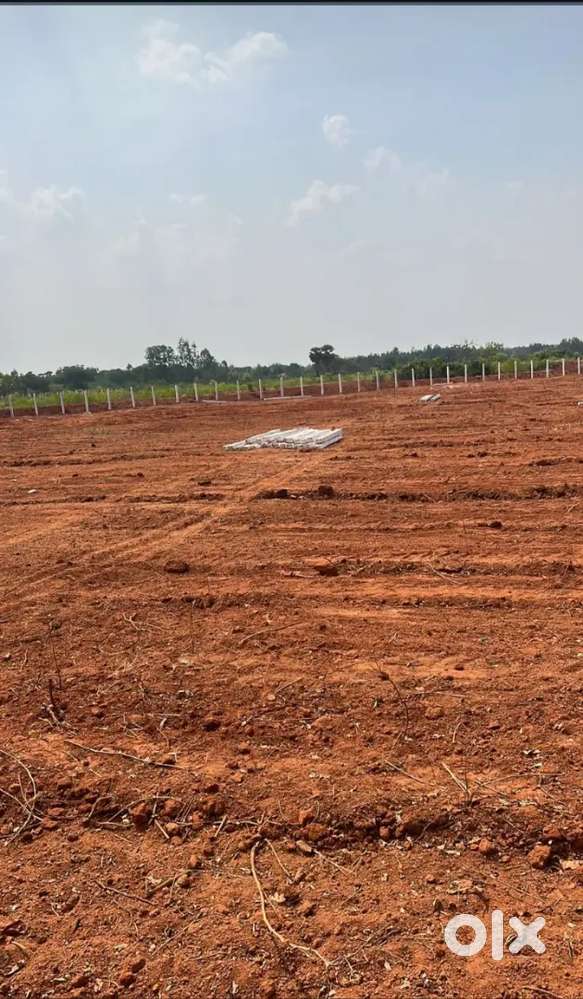 130 cent sale low budget farm land
