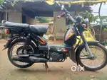 Fresh condition