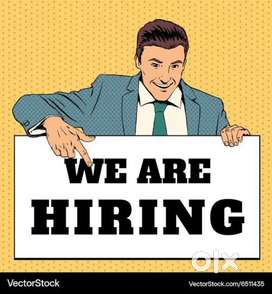 Data Entry Job For Male