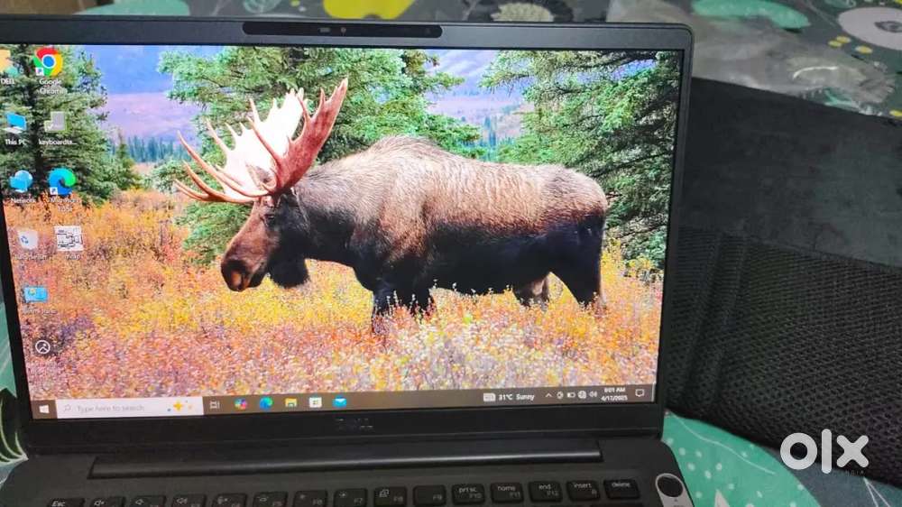 Lenovo dell laptop