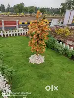 Plots in sale