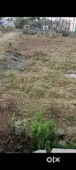 A very good ghara bari plot at Nimakhandi, Lochapada,Berhampur.