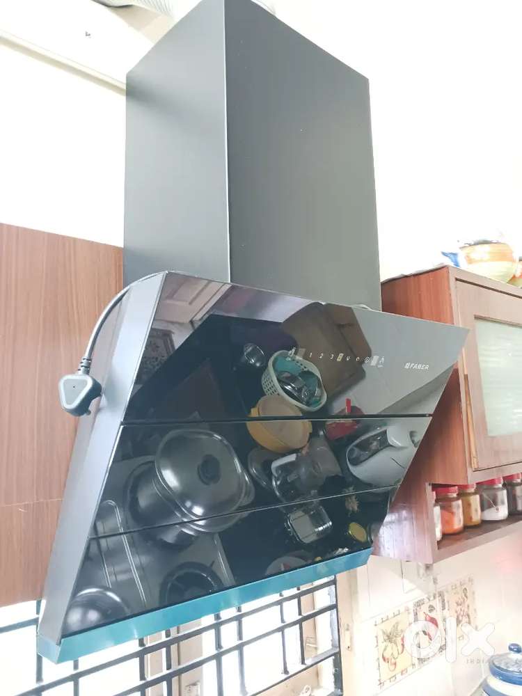 Faber Chimney 8 months Old