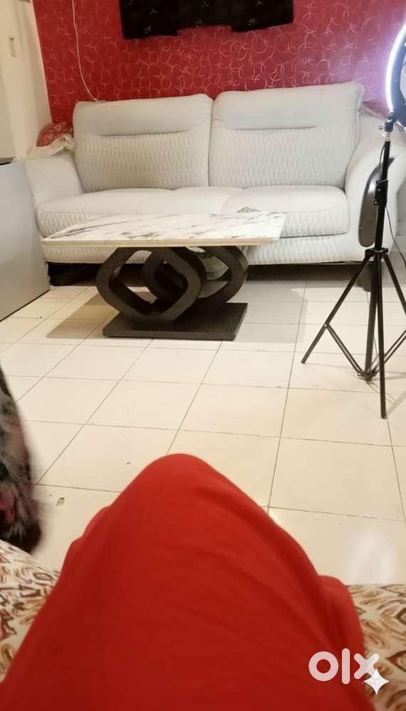 Sofa with soft cushion and heavy material