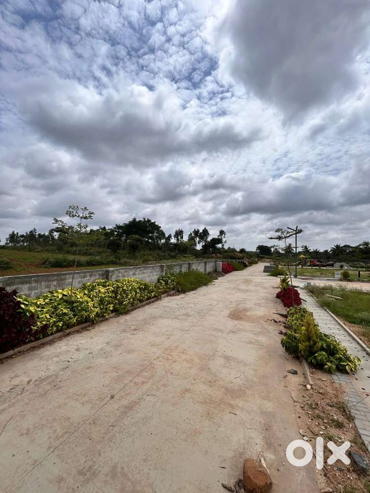 Clear title property