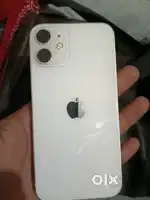 I phone 12 mini