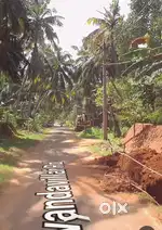 26 cent land sale in Vandavilai,near Pazhavilai