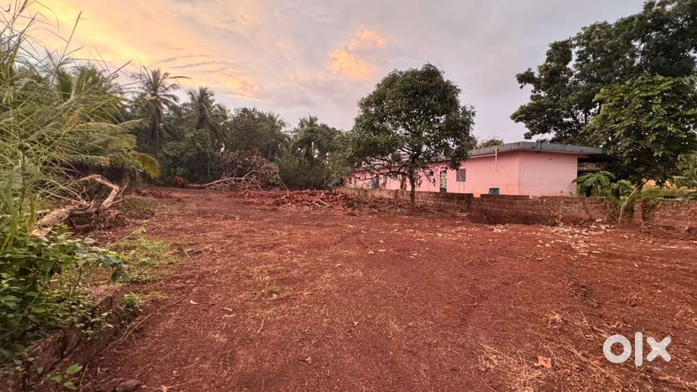 Land for sale near paramba poinachi