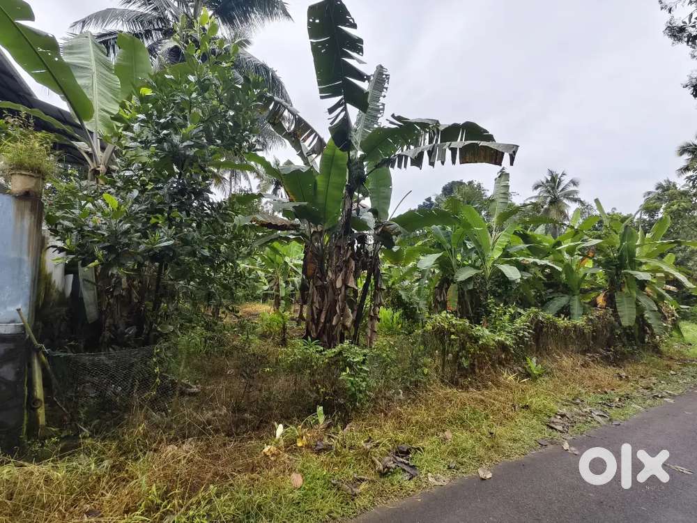 17.6 cent housing plot near NH 47