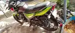 Single owner Yamaha