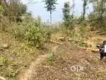 Genral Land for sale at Namchi Kamrang