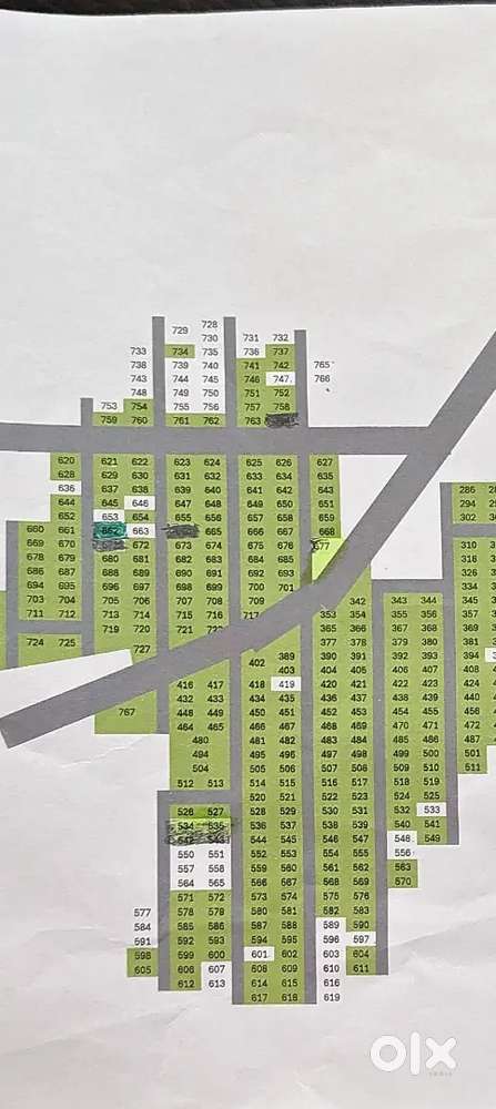 WHITE SANDAL WOOD FARMING PROJECT PLOT
