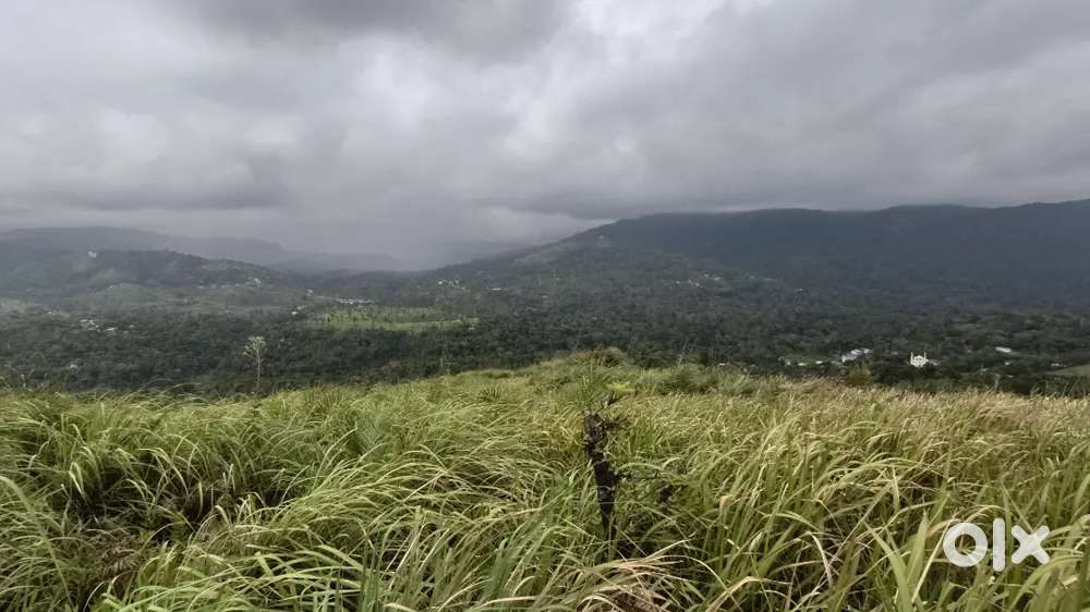 5.5 ACRE RESORT PROPERTY