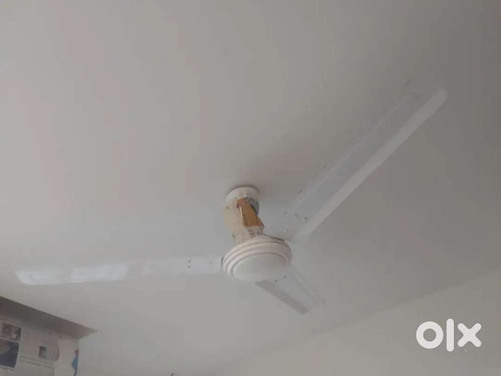 Fans superb working fan 1 year old