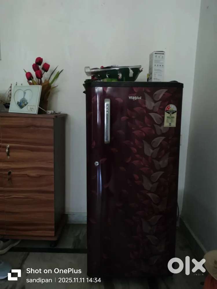Single door refrigerator for sell