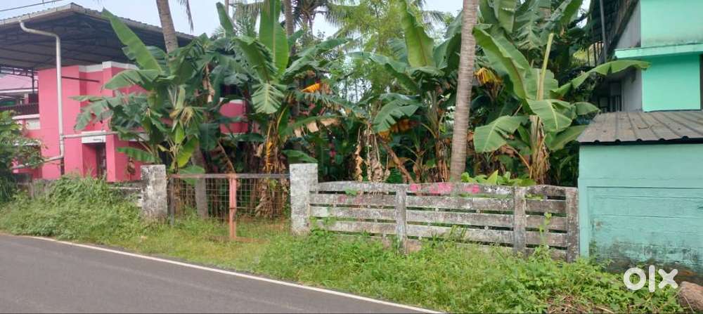 Residential land-6 cent for sale in villadam-Kuttumuck main road, Thri