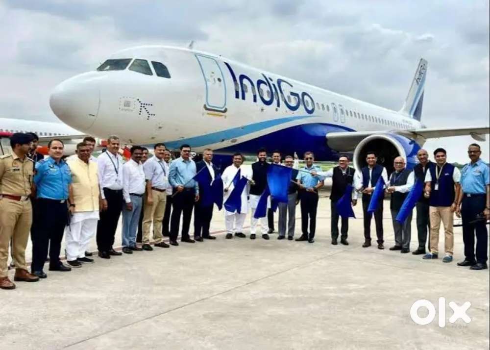 Indigo Airlines jobs Vacancy for Airport Ground staf/Driver/Cabin Crew