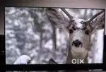 SMART LEDTV DEAL OFF THE DAY 42 INCHES