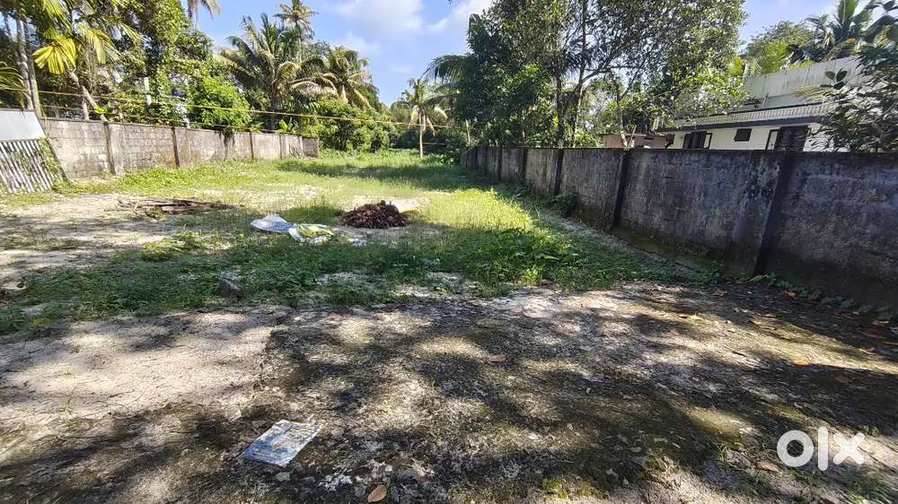 10 cent land for sale