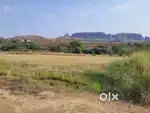 Farmhouse ,Agriculture  land for sell at Anjeneri and Trimbakeshwar,