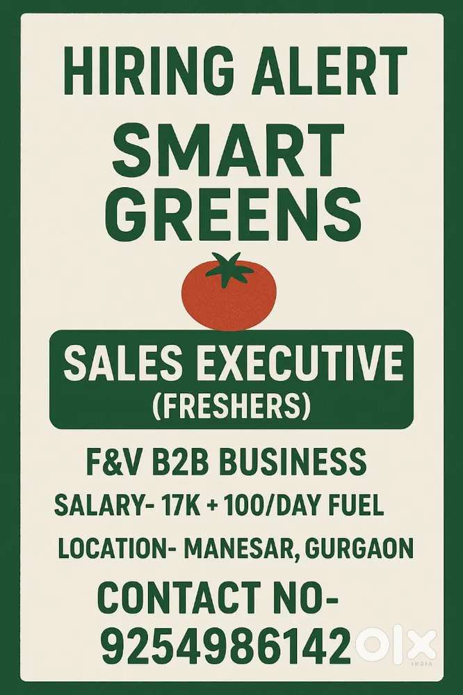 Sales Executive