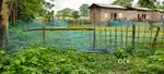 Beside Dalgaon High School near and Highway side land Genuine Myadi