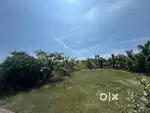 Vacant land for Rent in Vadanemmeli
