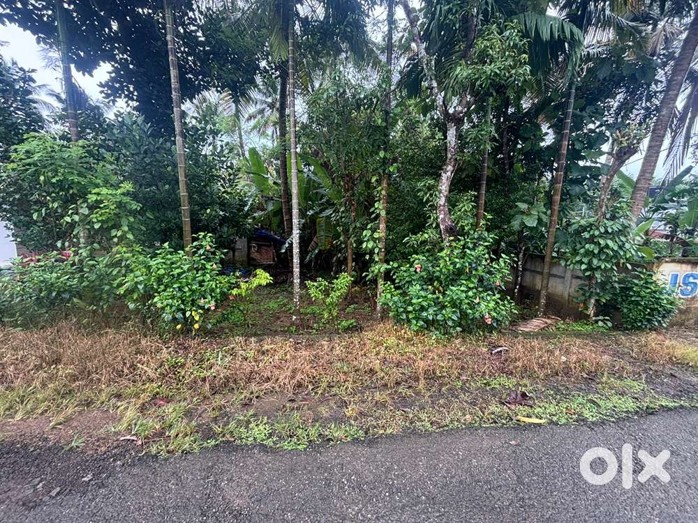 20 cent plot for sale