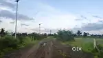 N A Final Plot