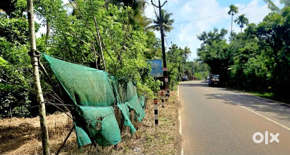 20 cent plot ചേർത്തല തണ്ണീർമുക്കം മെയിൻ റോഡ് സൈഡ്