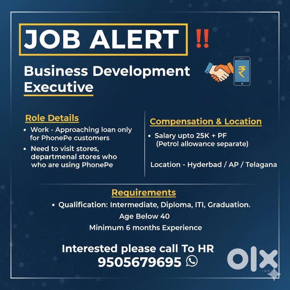Business Development Executive