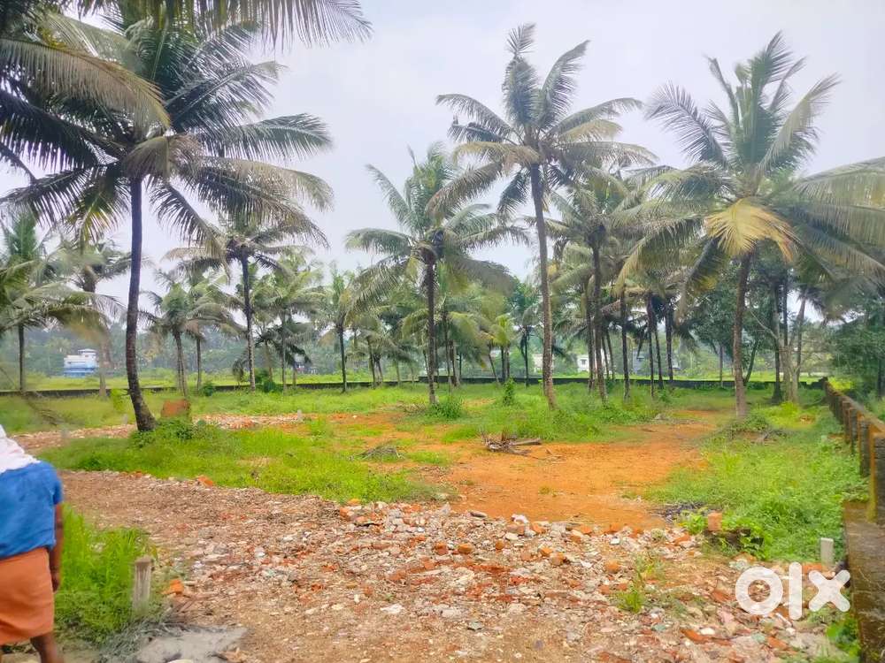 Aluva Kadungallur house plot 4cent for sale Per cent ₹3.5 lakh