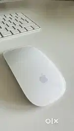 Apple magic mouse