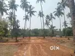 Plots for sale in Cotorem Sattari North Goa