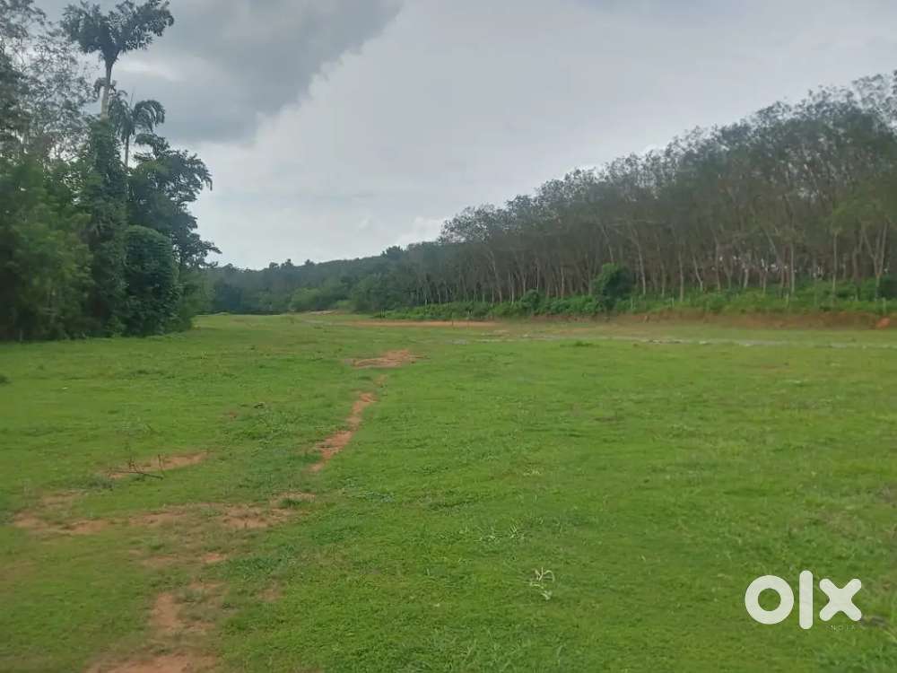 Plots and villas sale at mundur