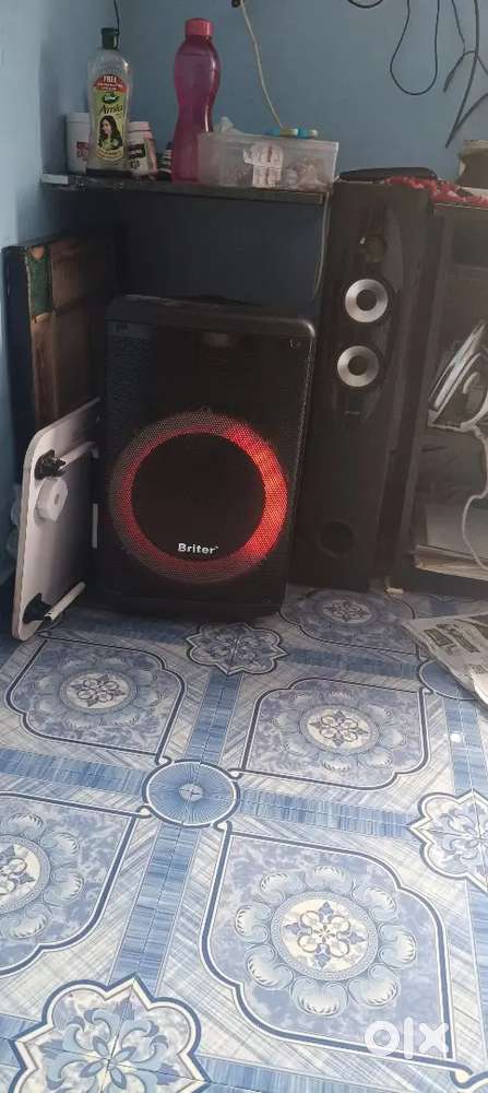 Bridar b1 master trala speaker