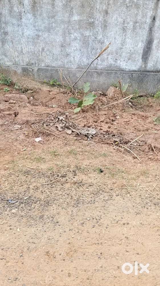 నియర్ ఈనాడు ఆఫీస్ వెంకటాచలం