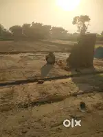 250 gaj ka plot bikau
