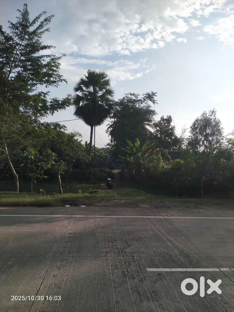 NH side plote with house